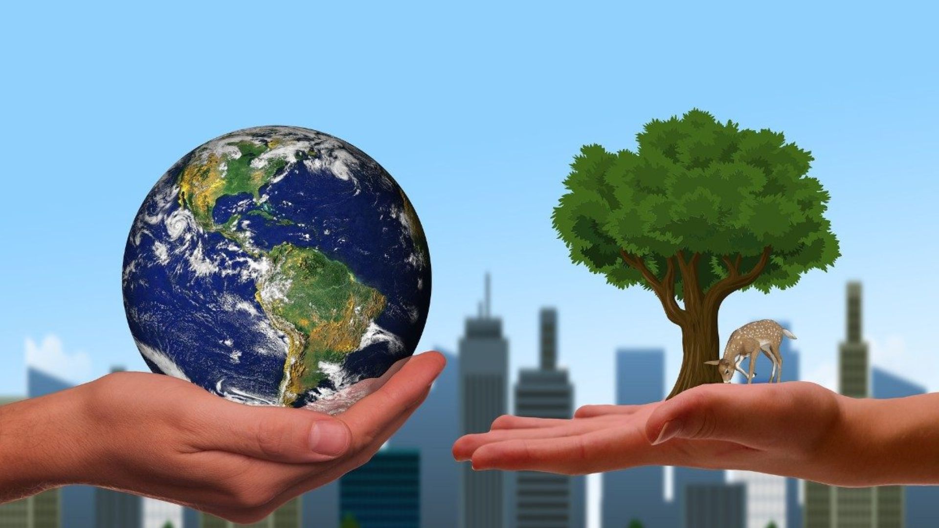 slide1902x1080-casacomun