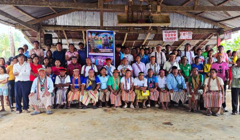 1920x1080_misiones selva (7)